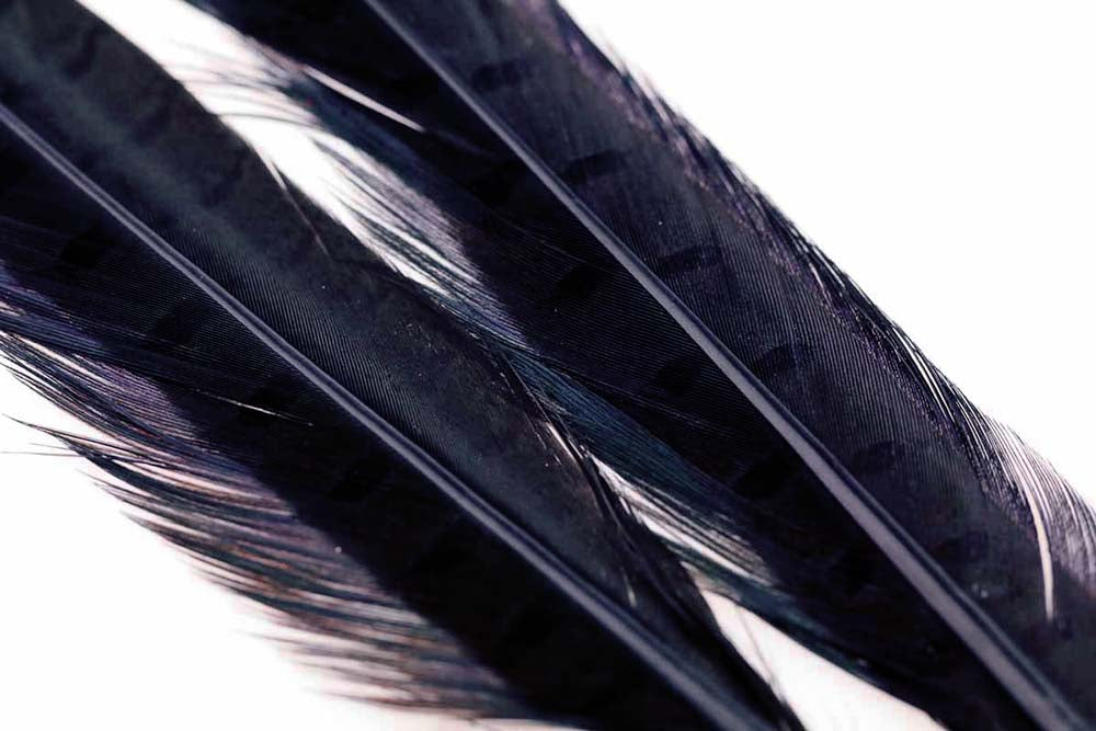 Ringneck Pheasant tail 1 Pair - Black
