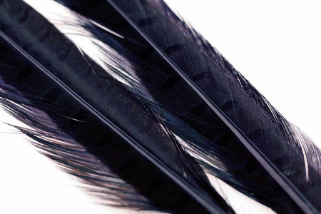 You added <b><u>Ringneck Pheasant tail 1 Pair - Black</u></b> to basket.
