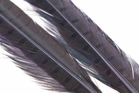 You added <b><u>Ringneck Pheasant tail 1 Pair - Dun</u></b> to basket.
