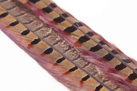 You added <b><u>Ringneck Pheasant tail 1 Pair - Rusty Brown</u></b> to basket.