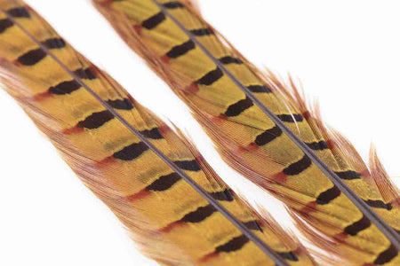 You added <b><u>Ringneck Pheasant Tail 1 Pair - Golden Yellow</u></b> to basket.