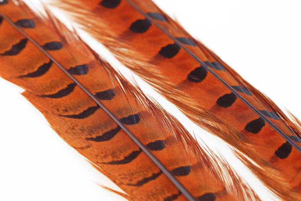Ringneck Pheasant Tail 1 Pair - Orange