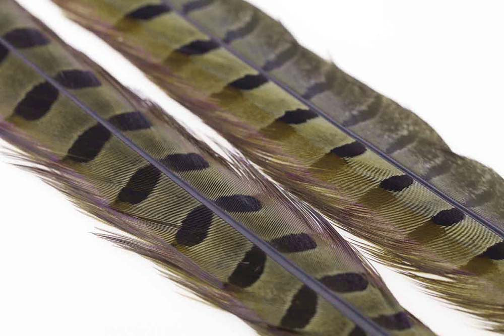 Ringneck Pheasant tail 1 Pair - Olive