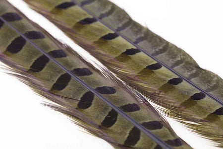 You added <b><u>Ringneck Pheasant tail 1 Pair - Olive</u></b> to basket.