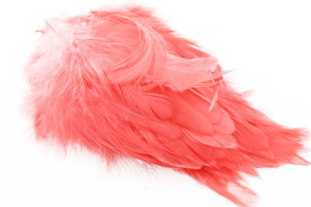 You added <b><u>Slippers #M - Shrimp Pink</u></b> to basket.