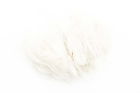 You added <b><u>Slippers #M - White</u></b> to basket.