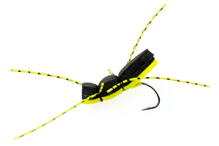 You added <b><u>The Foam Beetle with eye - Yellow</u></b> to basket.