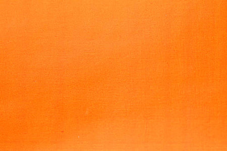 You added <b><u>Thin Skin - Burnt Orange</u></b> to basket.
