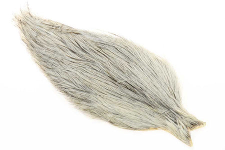 You added <b><u>Whiting Coq De Leon Cape - Unique Variant</u></b> to basket.