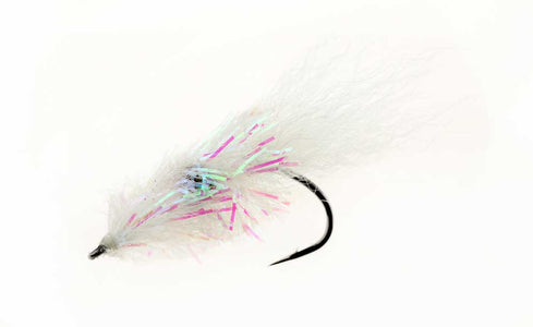 You added <b><u>The Glimmer Shrimp - Size 4</u></b> to basket.