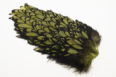 You added <b><u>Whiting American Hen Saddle Black Laced - Olive</u></b> to basket.