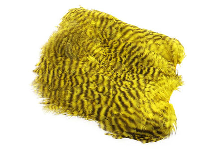 You added <b><u>Soft Hackle Patch Grizzly - Golden Olive</u></b> to basket.