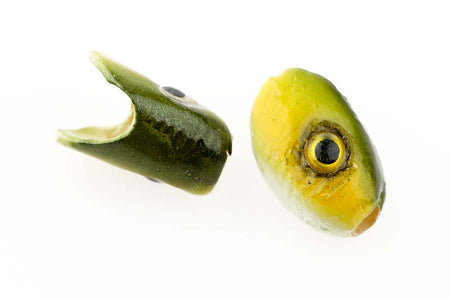 You added <b><u>Spawn Heads #S - Olive</u></b> to basket.