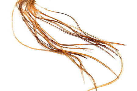 You added <b><u>Whiting 100 Pack - Brown</u></b> to basket.