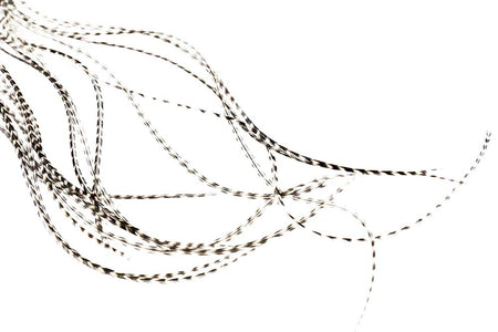 You added <b><u>Whiting 100 Pack - Grizzly</u></b> to basket.