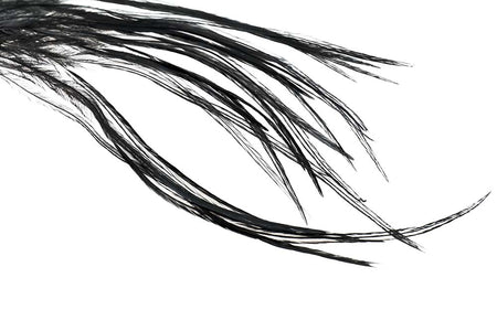 You added <b><u>Whiting 100 Pack - Black</u></b> to basket.