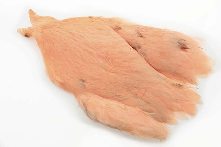 You added <b><u>4B Whiting Hen Cape - Salmon Pink</u></b> to basket.