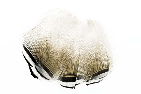 You added <b><u>Wood Duck - Black and White Flank</u></b> to basket.