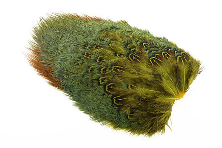 You added <b><u>Ringneck Rump Patch - Golden Yellow</u></b> to basket.