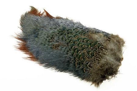 You added <b><u>Ringneck Rump Patch - Natural</u></b> to basket.