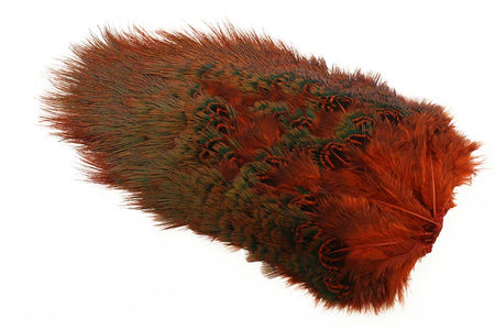 You added <b><u>Ringneck Rump Patch - Orange</u></b> to basket.