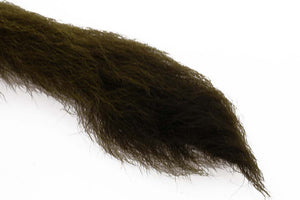 Calftail - Olive