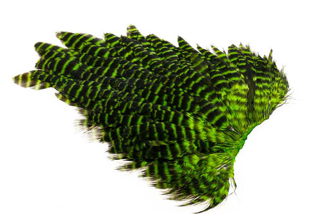 You added <b><u>Ewing #1 Hen Saddle Grizzly Chartreuse</u></b> to basket.