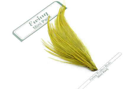 You added <b><u>Ewing 14's & 16's Dry Fly Mini Pack Olive</u></b> to basket.