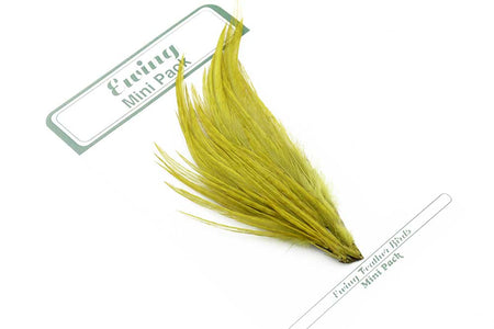 You added <b><u>Ewing 12's & 14's Dry Fly Mini Pack Olive</u></b> to basket.