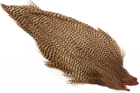 You added <b><u>Ewing #1 Cape Bleached Gz.Brown</u></b> to basket.