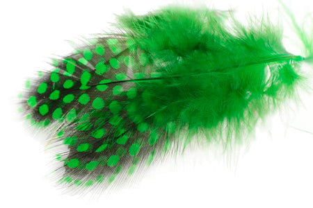You added <b><u>Guinea fowl - Green Highlander</u></b> to basket.