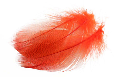 You added <b><u>Gadwall Barred Flank - Fl.Fire Orange</u></b> to basket.