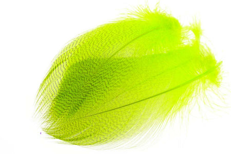You added <b><u>Mallard Duck Flank Large Selected - Fl. Chartreuse</u></b> to basket.
