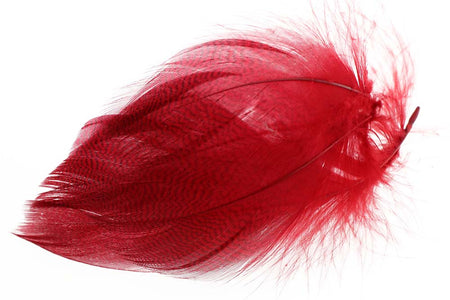 You added <b><u>Gadwall Barred Flank - Red</u></b> to basket.