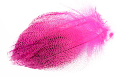You added <b><u>Mallard Duck Flank Large Selected - Fl. Pink</u></b> to basket.