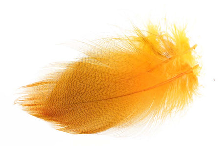 You added <b><u>Mallard Duck Flank Large Selected - Fl. Orange</u></b> to basket.