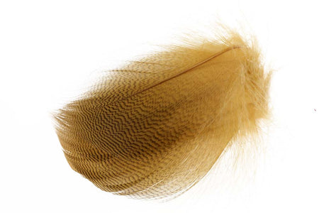 You added <b><u>Mallard Duck Wing Large Selected - Woodduck</u></b> to basket.