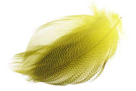 You added <b><u>Gadwall Barred Flank - Yellow</u></b> to basket.