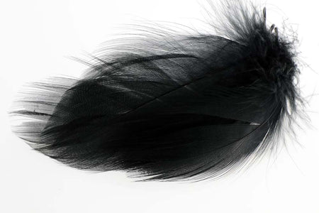 You added <b><u>Mallard Duck Flank Large Selected - Black</u></b> to basket.