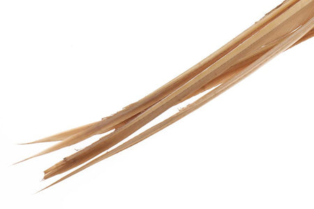 You added <b><u>Turkey biots - Tan</u></b> to basket.