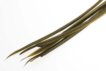 You added <b><u>Turkey biots - Olive</u></b> to basket.