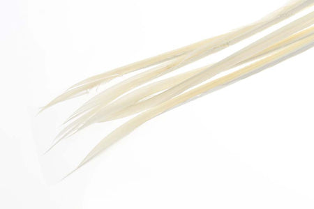 You added <b><u>Turkey biots - Light Cahill</u></b> to basket.
