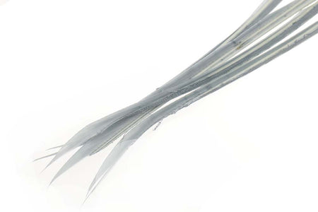 You added <b><u>Turkey biots - Blue Dun</u></b> to basket.