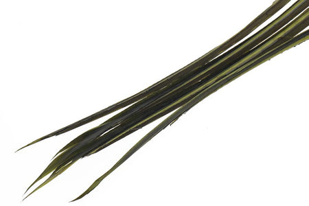 You added <b><u>Turkey biots - Blue Winged Olive</u></b> to basket.