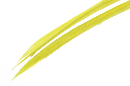You added <b><u>Turkey biots - Green Drake</u></b> to basket.