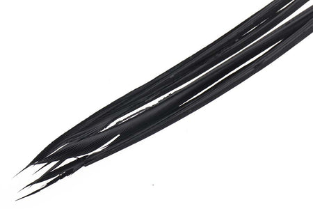 You added <b><u>Turkey biots - Black</u></b> to basket.