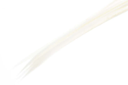 You added <b><u>Turkey biots - White</u></b> to basket.