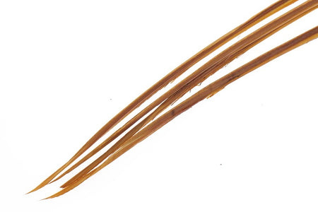 You added <b><u>Turkey biots - March Brown</u></b> to basket.