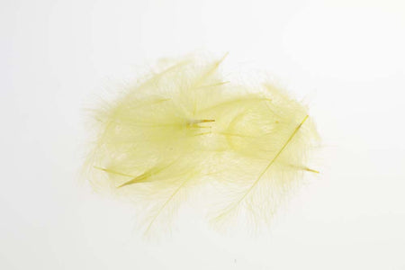 You added <b><u>Flyco Cul De Canard - Yellow</u></b> to basket.