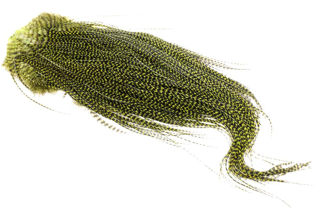 (Pro Grade) Whiting Red Label Saddle Midge - Grizzly Olive